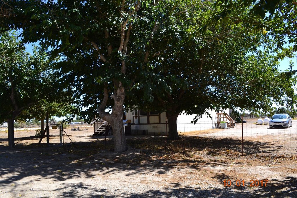 6376 Coyote Road Phelan, CA 92371 - Photo 12 of 24