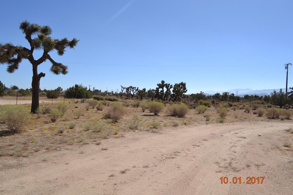 6376 Coyote Road Phelan, CA 92371 - Photo 21 of 24