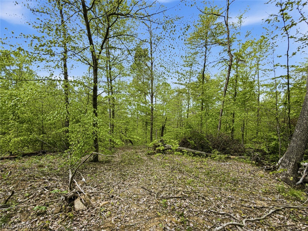 95-acres Newlon Road Malta, OH 43758 - Photo 17 of 18