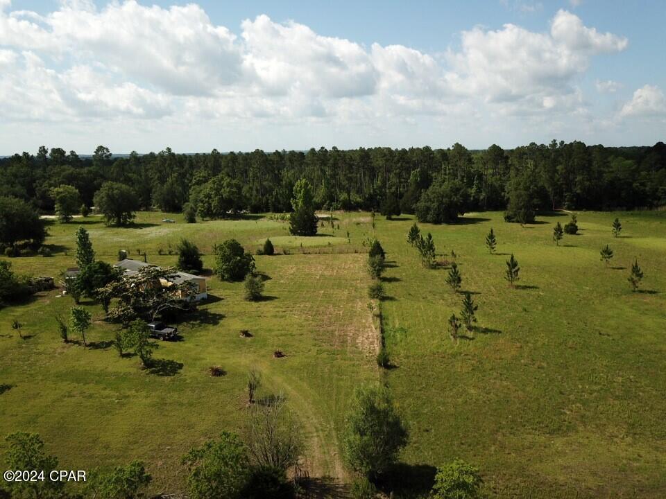 Tbd Bollinger Road Vernon, FL 32462 - Photo 23 of 28