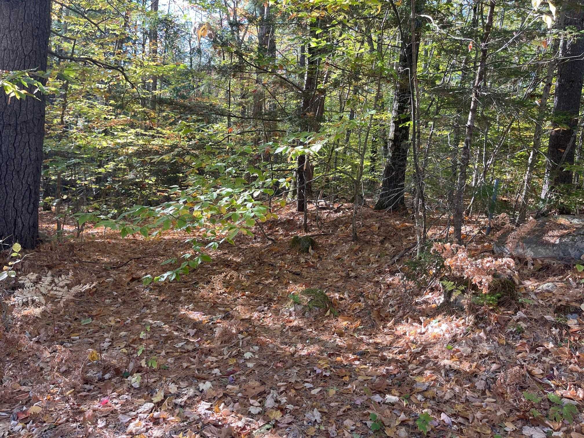 0 Mooney Hill Road Madison, NH 03849 - Photo 4 of 9