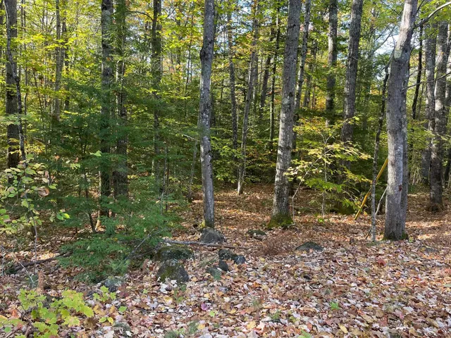 $164,900 | 0 Mooney Hill Road, Madison, NH 03849