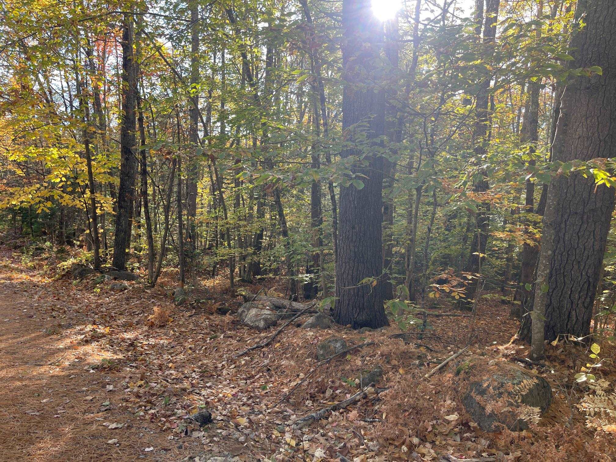 0 Mooney Hill Road Madison, NH 03849 - Photo 7 of 9