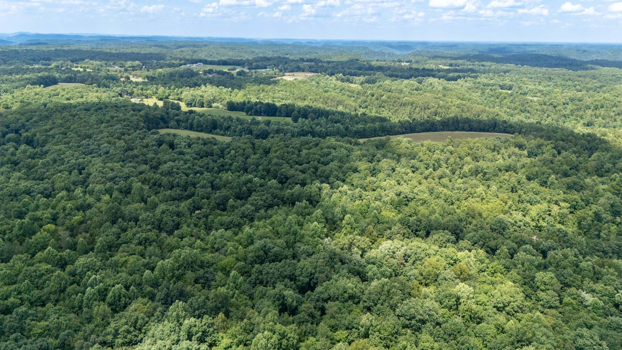 3772 Pea Ridge Road Liberty, TN 37095 - Photo 43 of 52