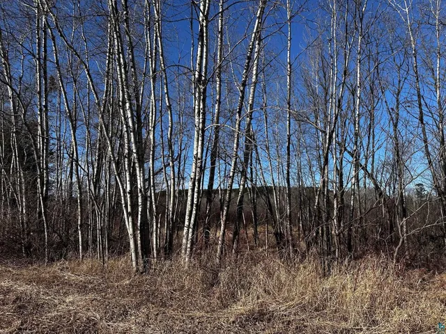 $18,750 | 8601 County Rd L, Solon Springs, WI 54873