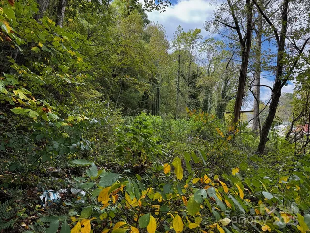 a backyard of a house with lots of trees