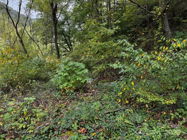 $27,000 | 1261 Asheville Highway, Canton, NC 28716