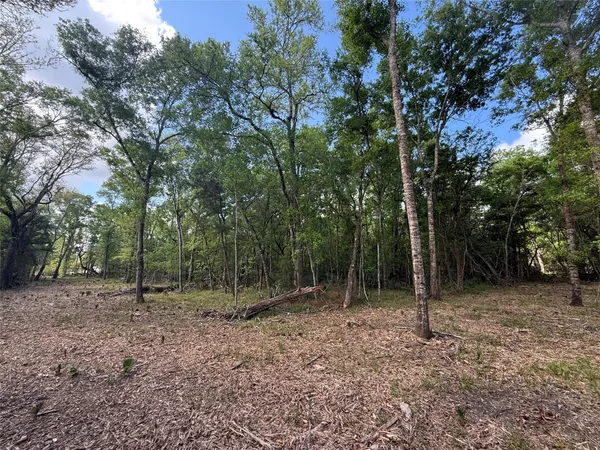 a view of outdoor space with trees