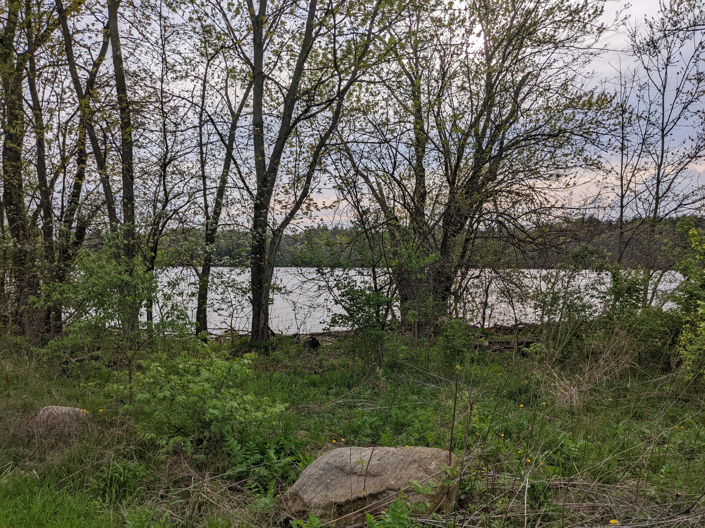 7445 Riverside Drive Powell, OH 43065 - Photo 6 of 21 PXL_20220503_223219071