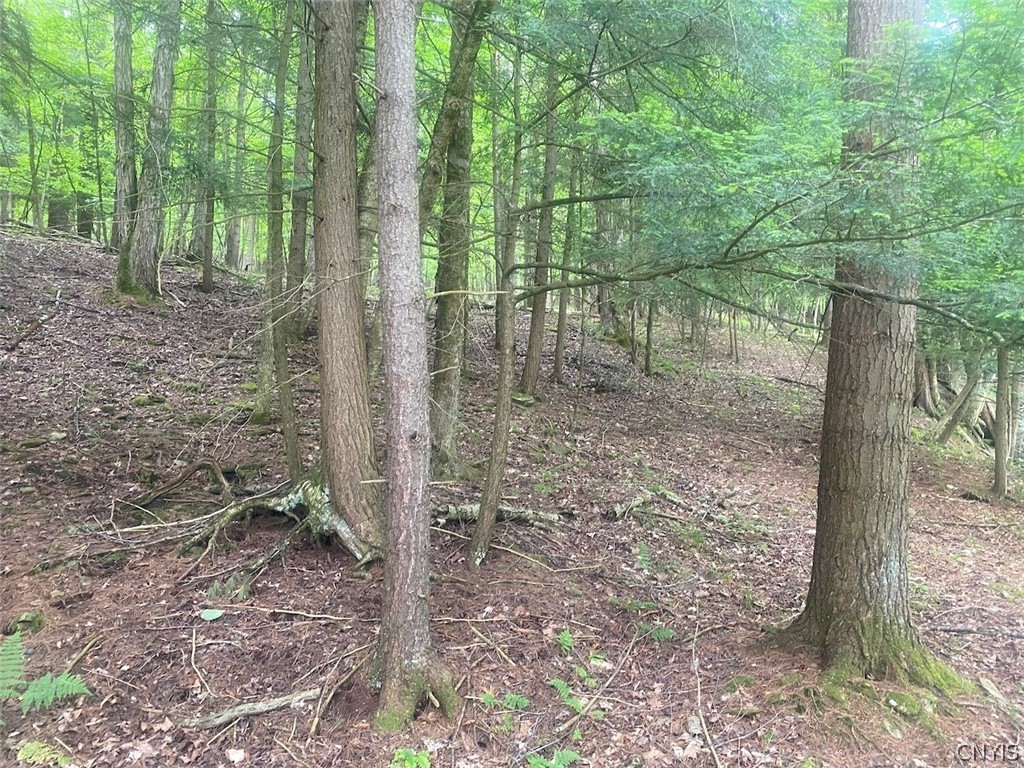 5295 Snowball Hollow Road Scio, NY 14880 - Photo 47 of 50