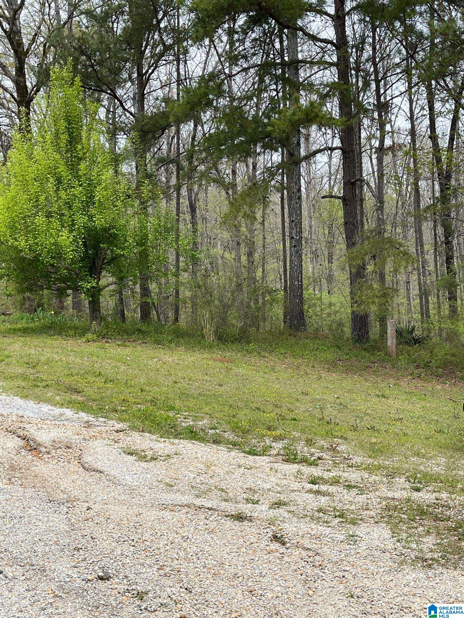 1035 County Road 15 Heflin, AL 36264 - Photo 22 of 33