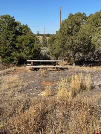$225,000 | 52790 Hwy 491, Cahone, CO 81320
