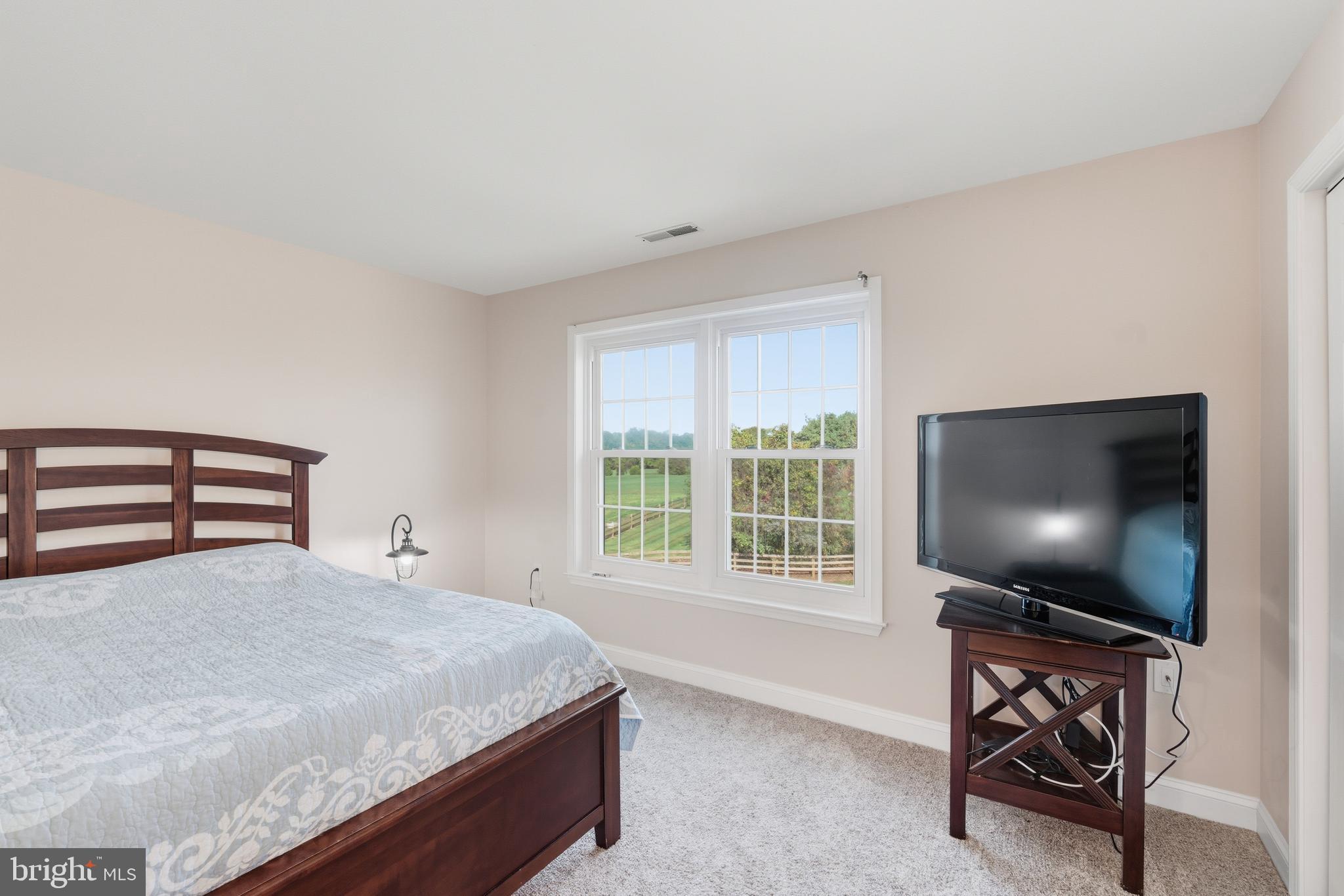 115 Scott Road Warwick, MD 21912 - Photo 23 of 32 a bedroom with a bed and a flat screen tv