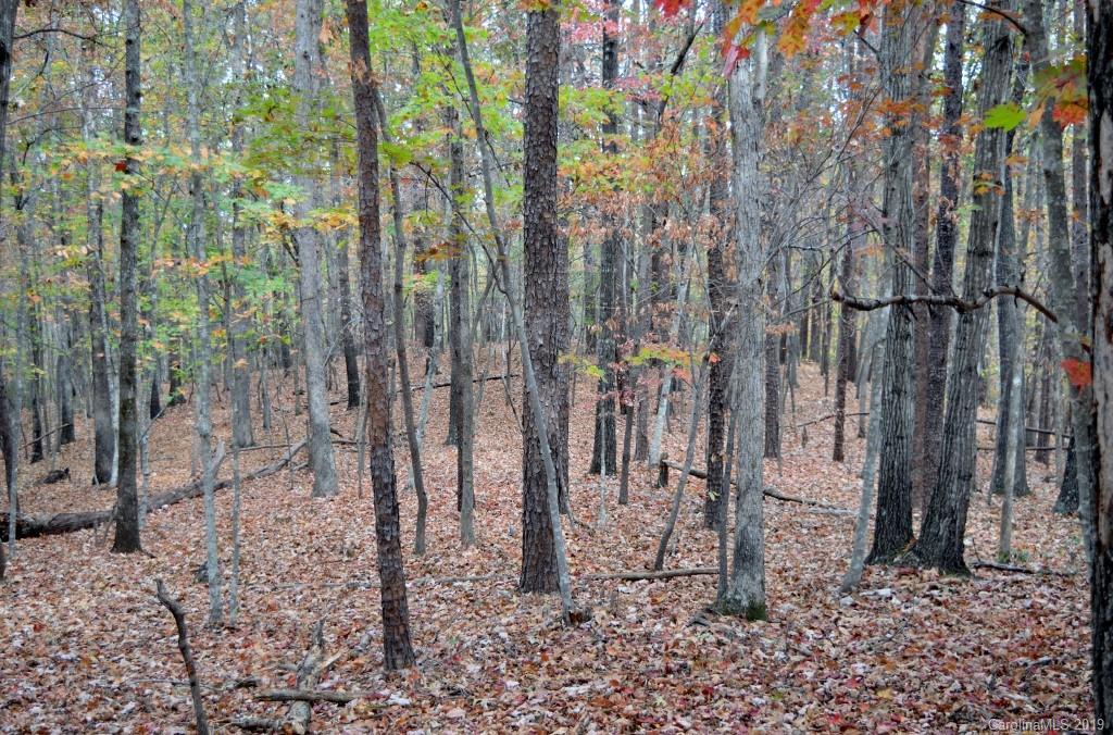0 South Pointe Road, Unit 20 Mill Spring, NC 28756 - Photo 1 of 7 a view of a yard with trees