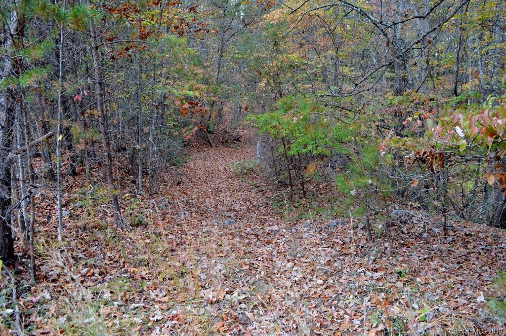 0 South Pointe Road, Unit 20 Mill Spring, NC 28756 - Photo 2 of 7 a view of a yard with plants and trees