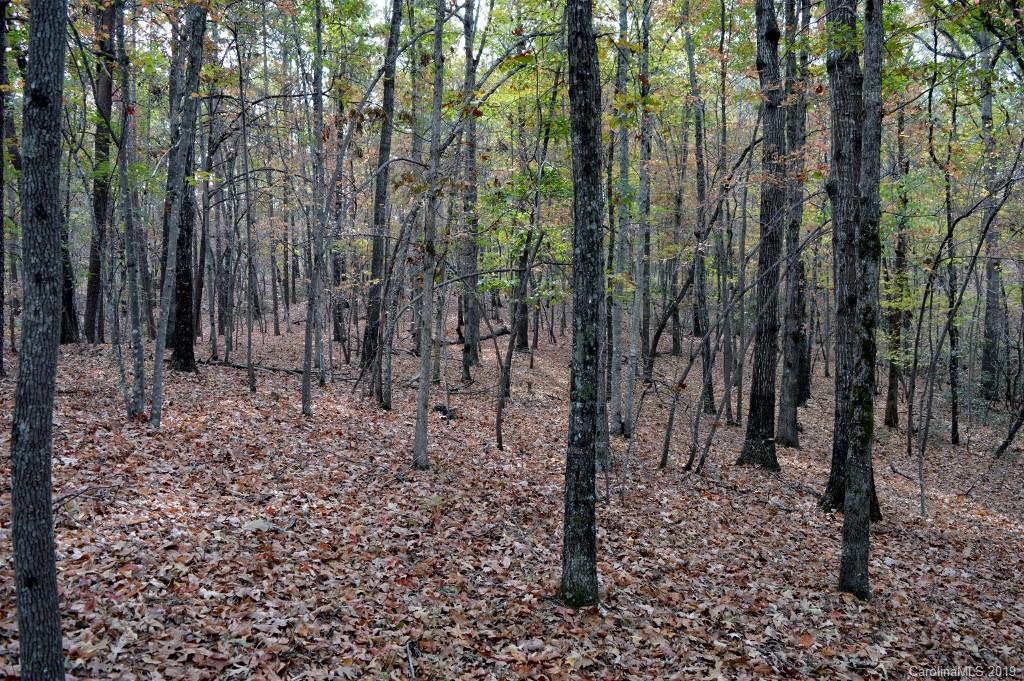 0 South Pointe Road, Unit 20 Mill Spring, NC 28756 - Photo 6 of 7