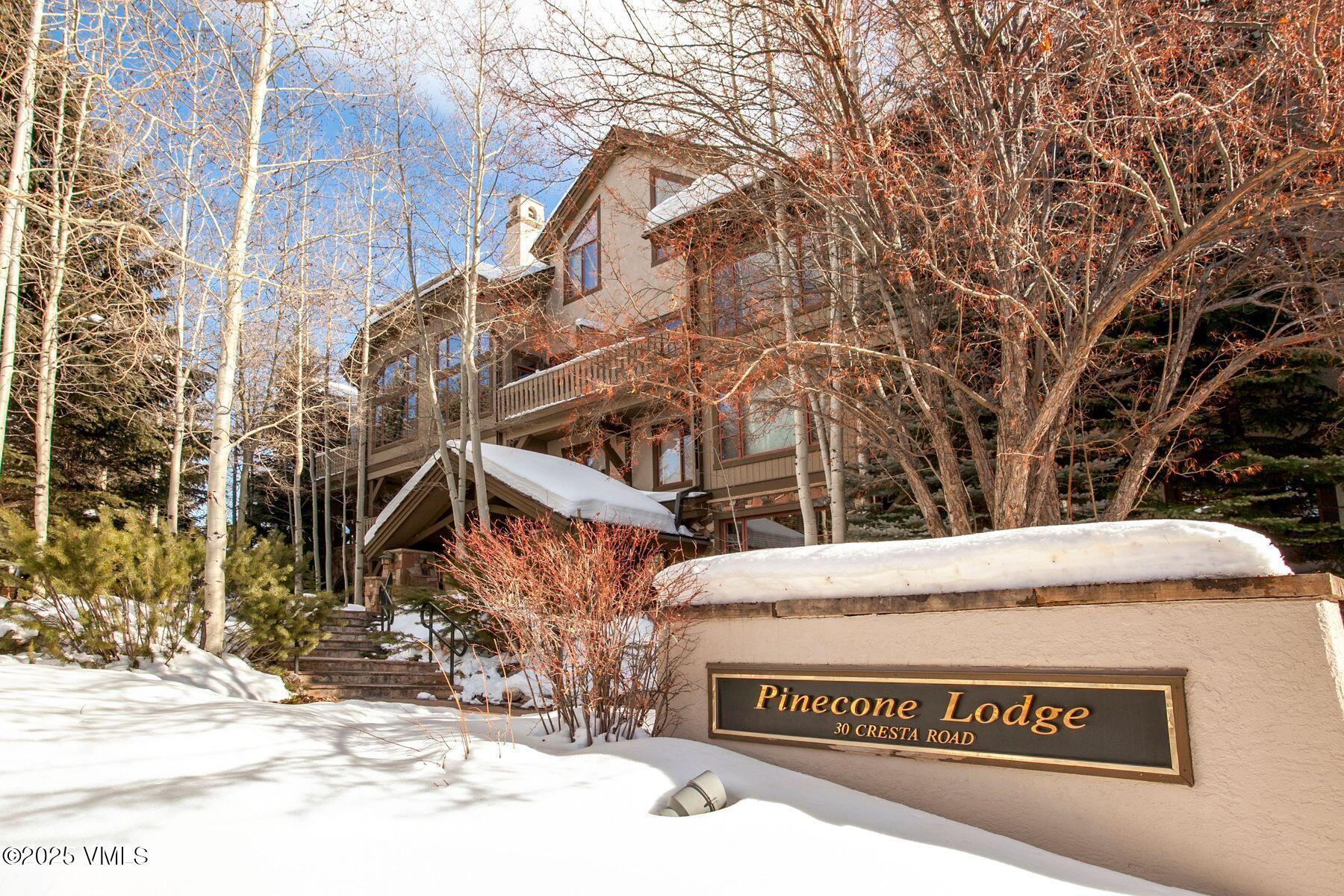 30 Cresta Road, Unit 201 Edwards, CO 81632 - Photo 26 of 32 photo_online_026