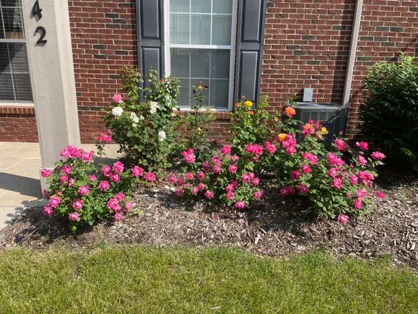 $275,000 | 3242 Primrose Lane, Ypsilanti, MI 48197