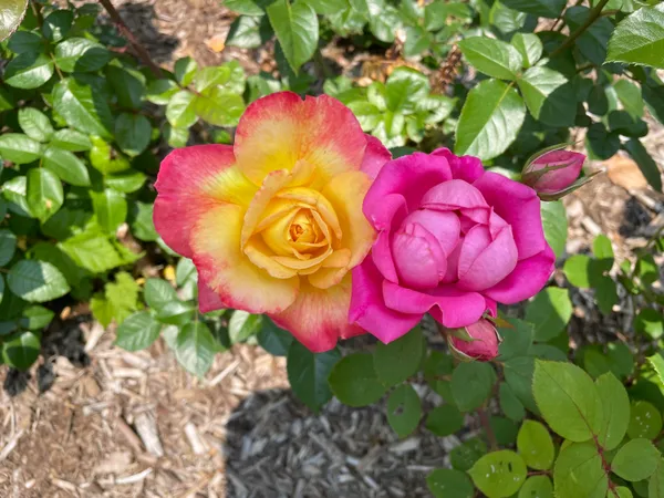 $275,000 | 3242 Primrose Lane, Ypsilanti, MI 48197