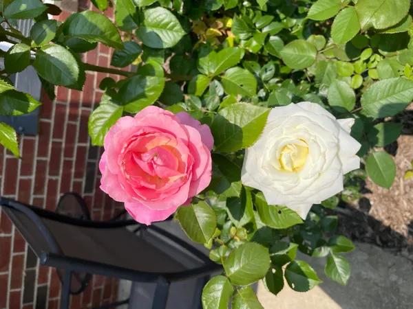 $275,000 | 3242 Primrose Lane, Ypsilanti, MI 48197