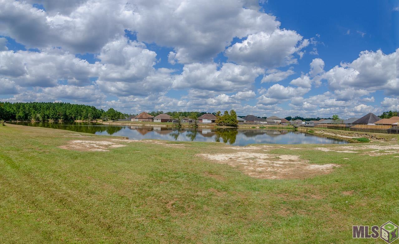 26151 Bobby Gill Road Denham Springs, LA 70726 - Photo 17 of 17 Gallery Image 17