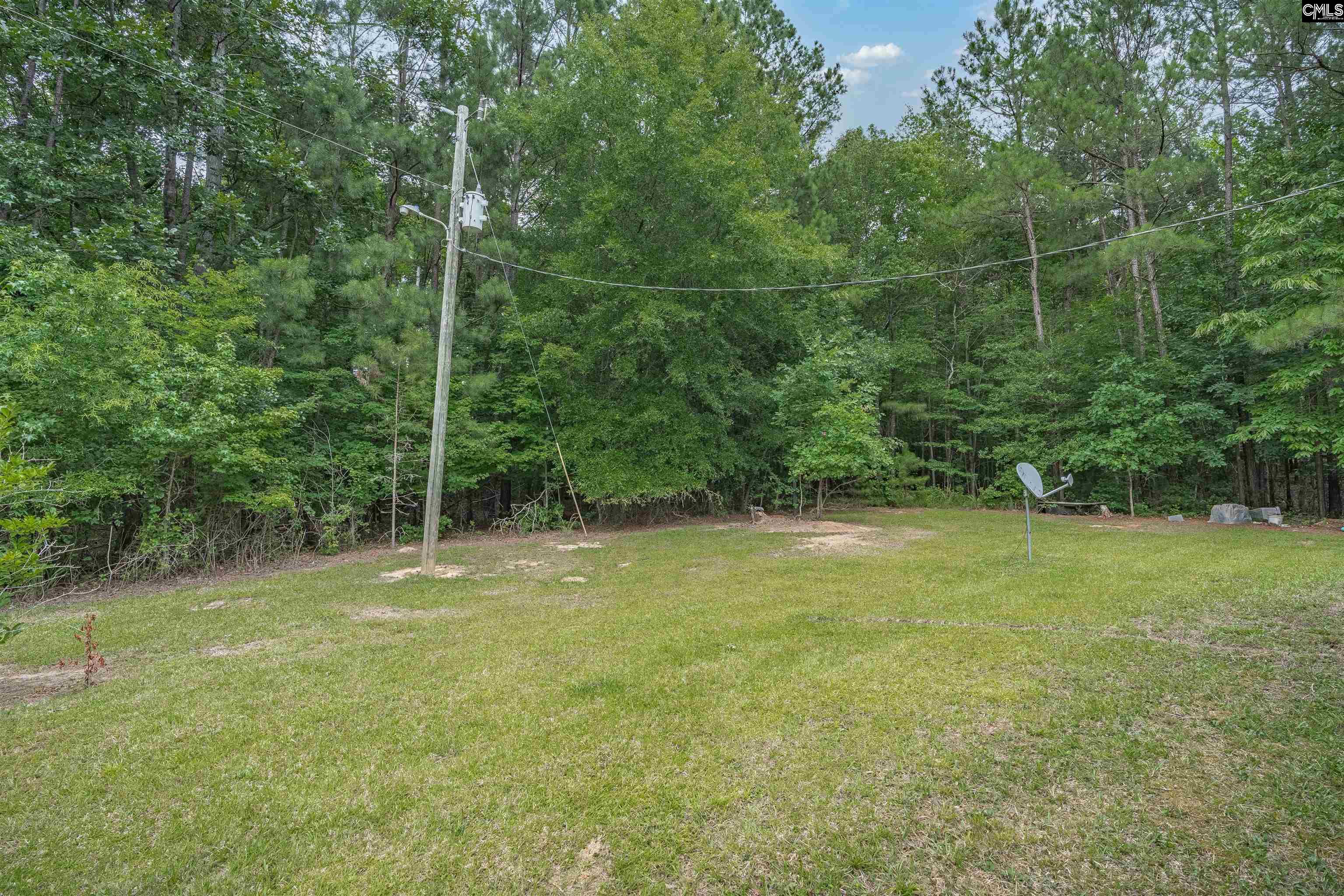 304 Cooper Road Blythewood, SC 29016 - Photo 26 of 29 a view of a yard with a trees