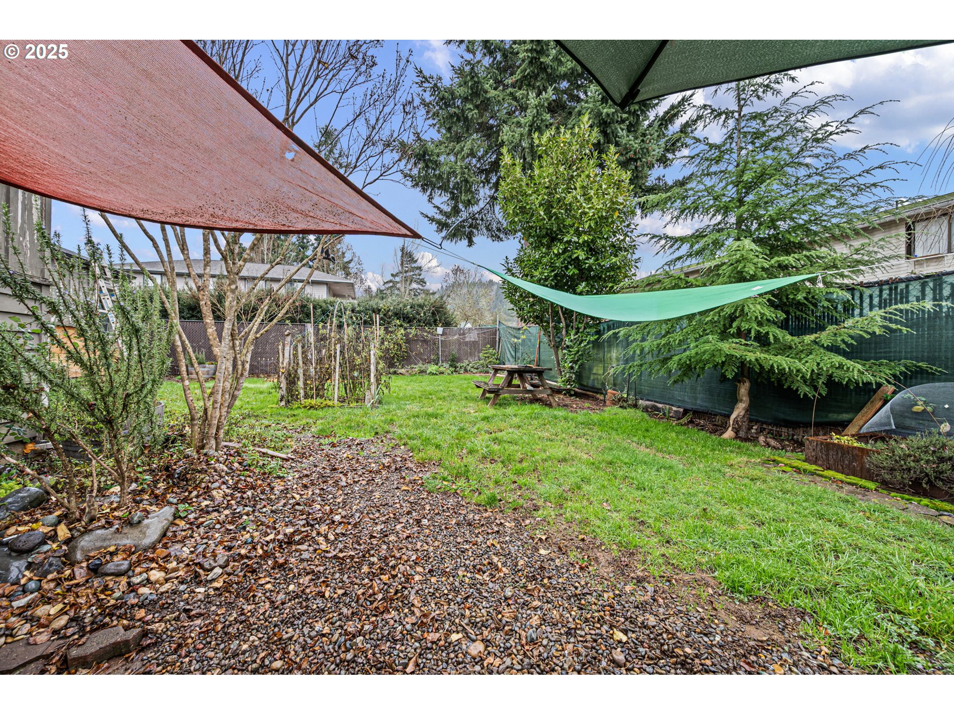 1425 East Madison Avenue Cottage Grove, OR 97424 - Photo 25 of 39 a view of a backyard with plants