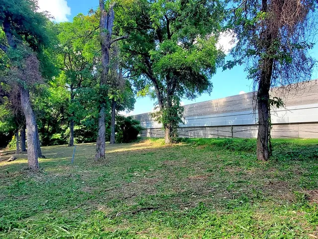 a view of backyard with tree