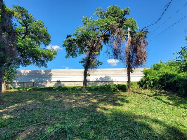 a view of a yard with plants and trees