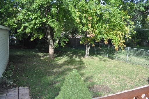 110 South Lyle Avenue Elgin, IL 60123 - Photo 13 of 13 a backyard of a house with lots of green space