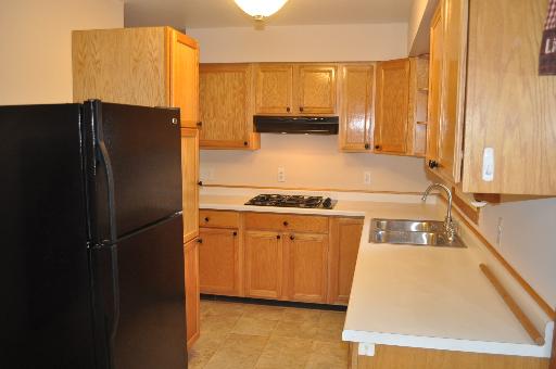 110 South Lyle Avenue Elgin, IL 60123 - Photo 4 of 13 a kitchen with a refrigerator and a stove