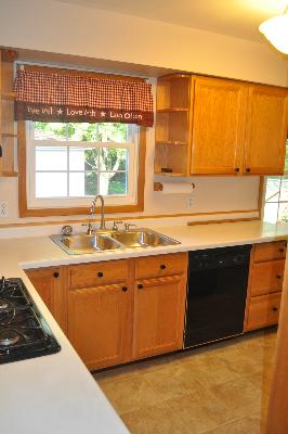110 South Lyle Avenue Elgin, IL 60123 - Photo 5 of 13 a view of a kitchen with a sink and wooden cabinets