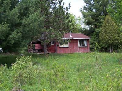 1 Knapp Road Reed City, MI 49677 - Photo 1 of 10 Primary Photo
