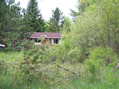 1 Knapp Road Reed City, MI 49677 - Photo 4 of 10 Additional Photo
