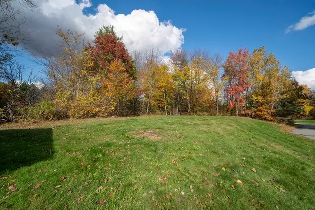 a view of a field of grass and trees