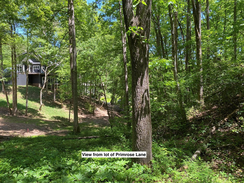 Tbd Village Road Murphy, NC 28906 - Photo 4 of 21