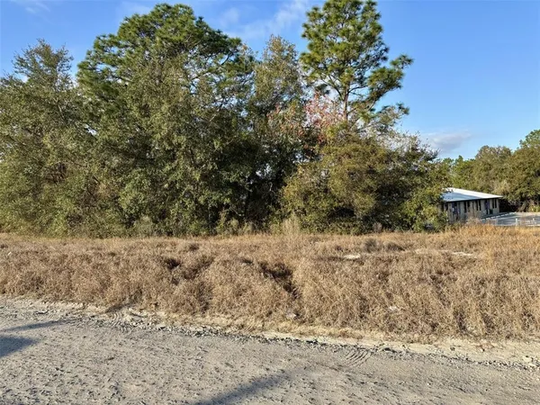 a view of a dry yard with trees
