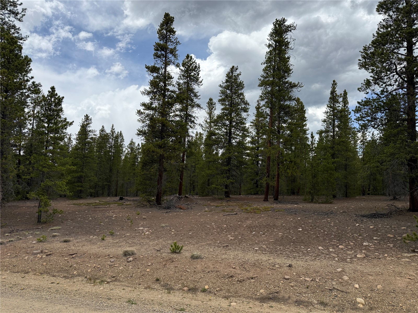 201 Snowshoe Rabbit Drive Leadville, CO 80461 - Photo 10 of 17