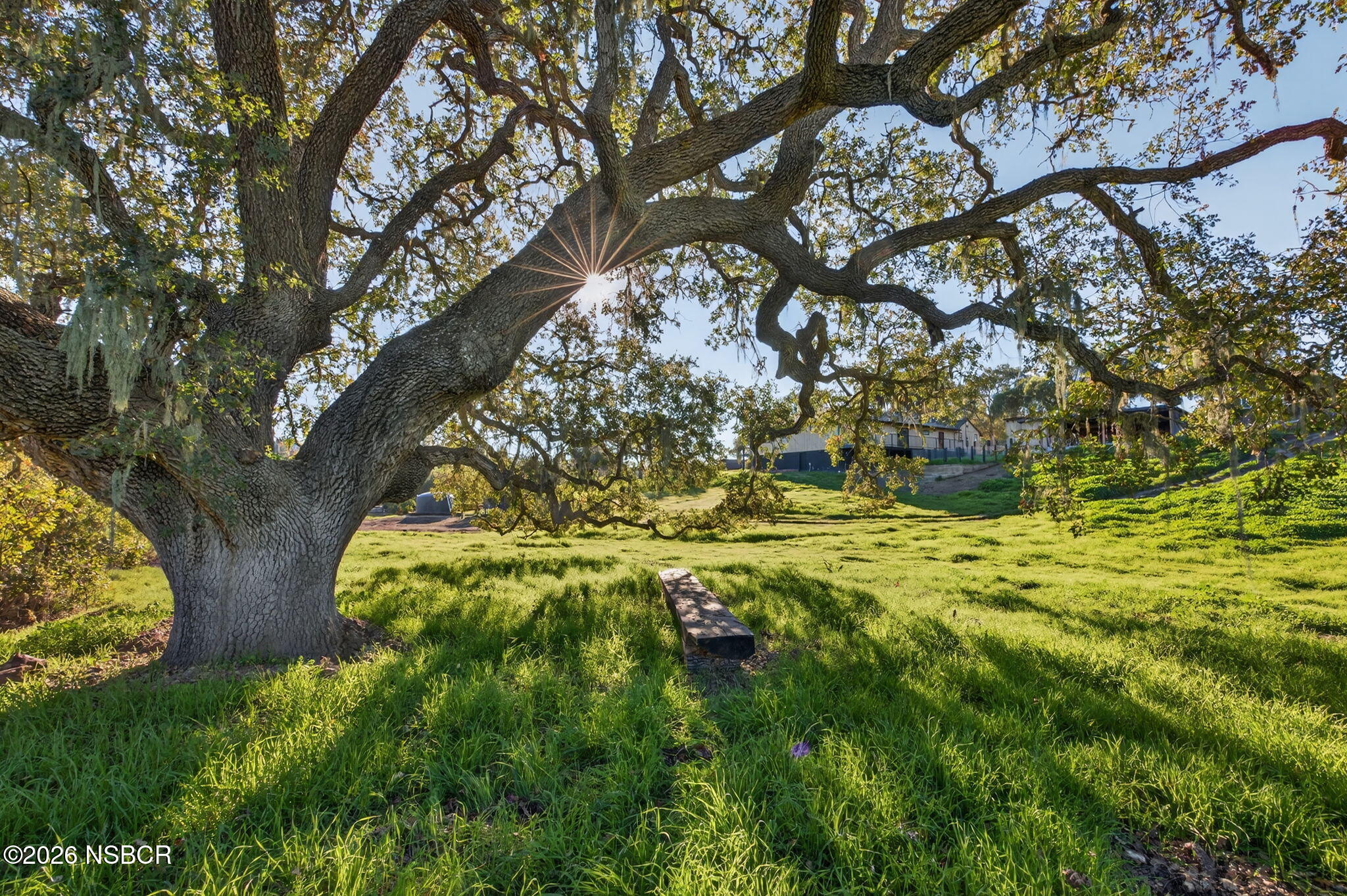970 College Canyon Road Solvang, CA 93463 - Photo 27 of 31 70-web-or-mls-UpmarketMedia_970C-029