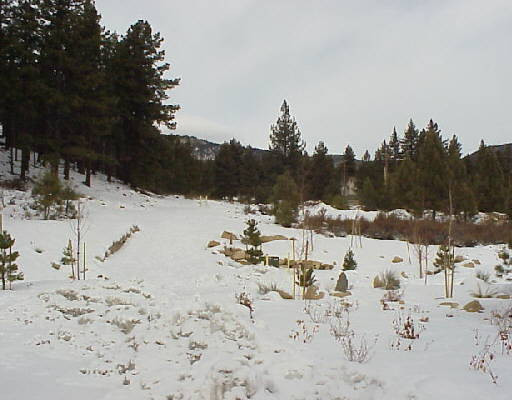 Lot 2 Rose Creek Reno, NV 89511 - Photo 1 of 1 Photo 1