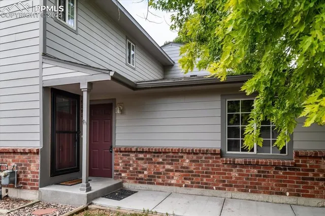 a view of a yard with plants and trees
