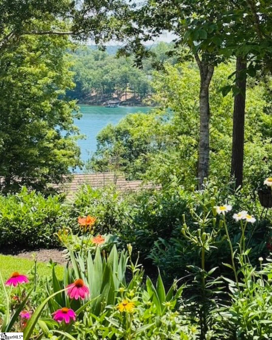 511 Palmer Way Sunset, SC 29685 - Photo 3 of 42