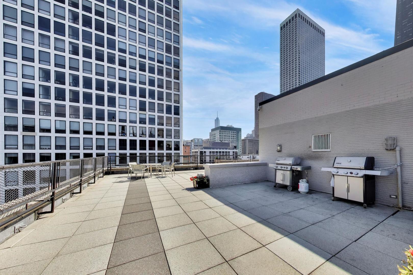 253 East Delaware Place, Unit 12E Chicago, IL 60611 - Photo 28 of 41