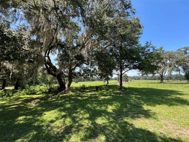 a view of field with large trees