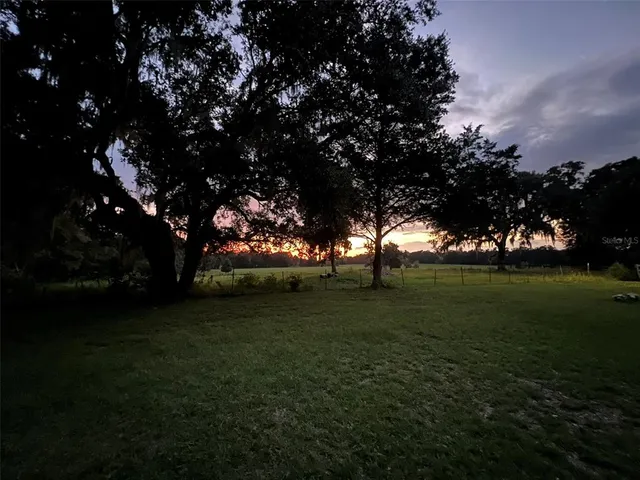 a view of field with trees