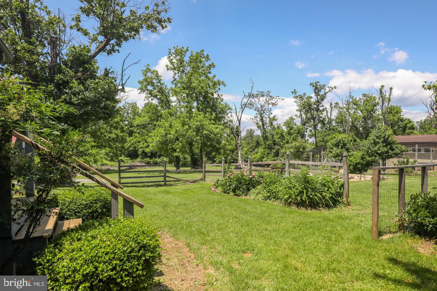 18777 Blue Ridge Mountain Road Bluemont, VA 20135 - Photo 48 of 65 Cottage Rear