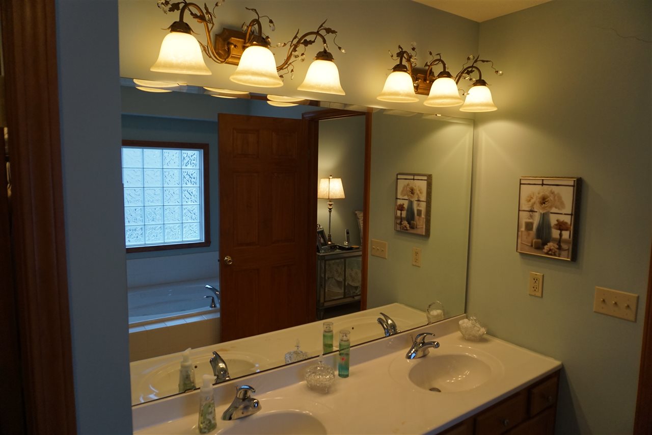 11123 Chicory Ridge Way Roscoe, IL 61073 - Photo 18 of 23 a bathroom with a sink vanity and a mirror
