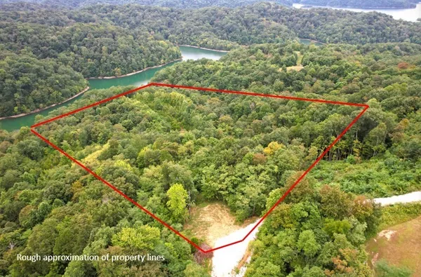 a backyard of a house with lots of trees