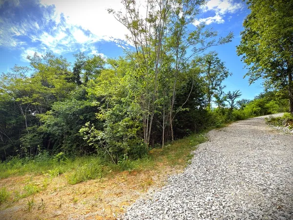 a view of backyard with green space