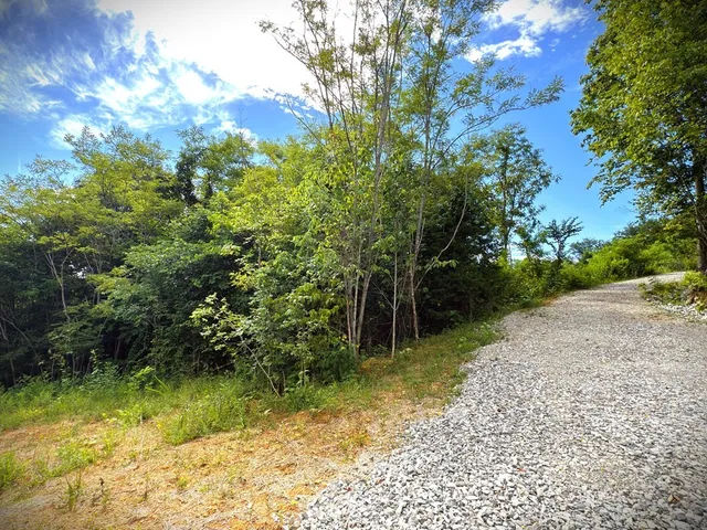 a view of backyard with green space